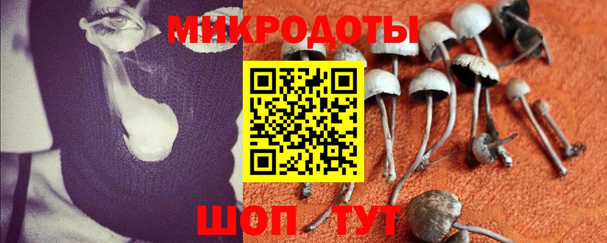 Псилоцибиновые грибы MAGIC MUSHROOMS Елизово